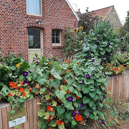 Les Jardins D'Olus Vila Wandignies-Hamage Exterior foto